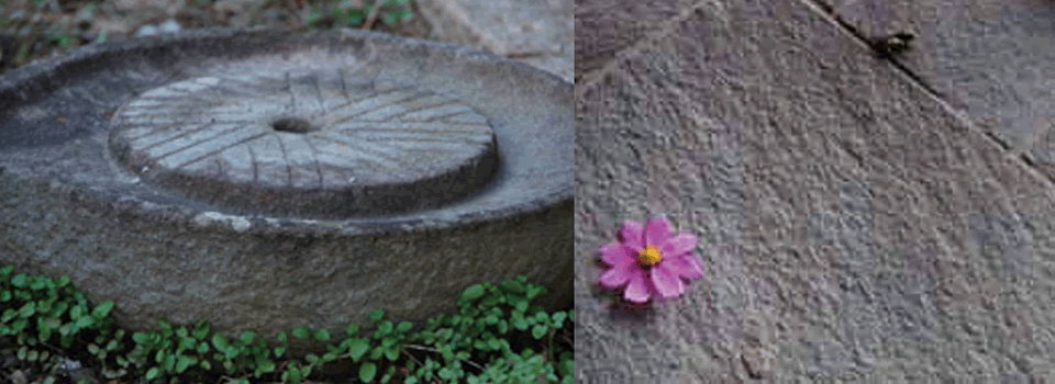 対馬の自然と文化拠点半井桃水館