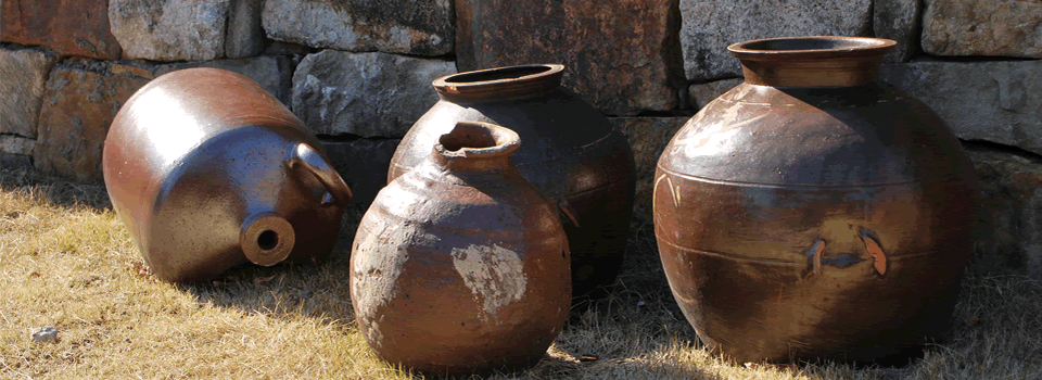 対馬の自然と文化拠点半井桃水館