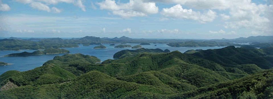 対馬の自然と文化拠点半井桃水館