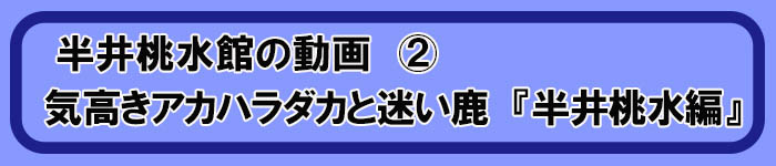 気高きアカハラダカと迷い鹿　半井桃水編