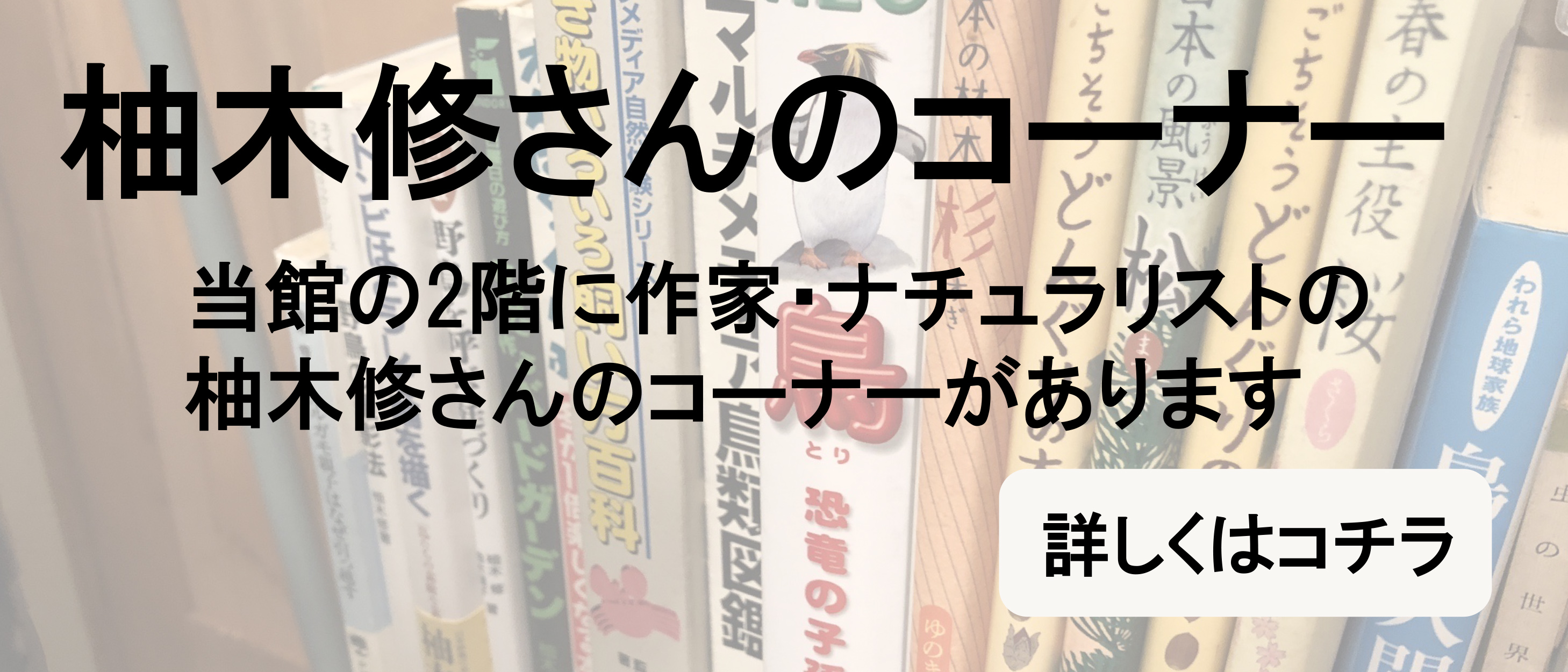 柚木修コーナー